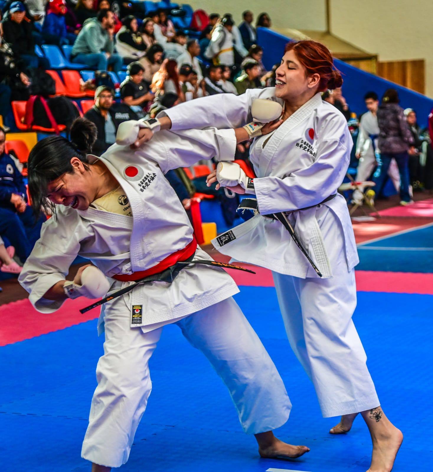 645429118_1528565769277575_2650096491105272453_n